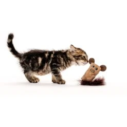 Litterbox.com Cork Pig Cat Toy -Pawfect Care 334224 PT2. AC SS1800 V1633636900
