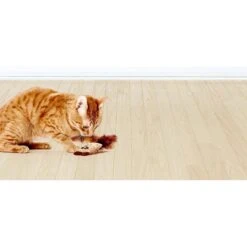 Litterbox.com Cork Panda Cat Toy -Pawfect Care 334228 PT2. AC SS1800 V1633636885