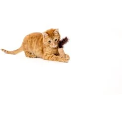 Litterbox.com Cork Panda Cat Toy -Pawfect Care 334228 PT3. AC SS1800 V1648506394