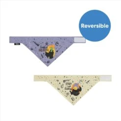 Disney Hocus Pocus Reversible Dog & Cat Bandana -Pawfect Care 334706 PT2. AC SS1800 V1689621235
