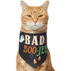 Frisco Bad & Boo-Jee Dog & Cat Costume Bandana -Pawfect Care 334807 PT2. AC SS1800 V1659034006