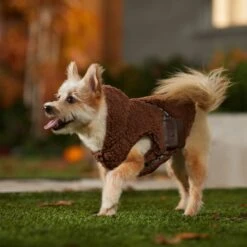 STAR WARS CHEWBACCA Mediumweight Sherpa Dog & Cat Vest -Pawfect Care 335212 PT8. AC SS1800 V1657656945