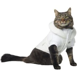 STAR WARS PRINCESS LEIA HOTH Dog & Cat Puffer Jacket -Pawfect Care 335219 PT2. AC SS1800 V1657656946