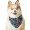 Pixar Coco Remember Me Dog & Cat Bandana -Pawfect Care 335293 MAIN. AC SS1800 V1657656987