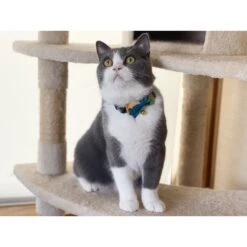 Necoichi Yukata Bow Tie Breakaway Cat Collar -Pawfect Care 335345 PT7. AC SS1800 V1644920208