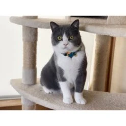 Necoichi Yukata Bow Tie Breakaway Cat Collar -Pawfect Care 335345 PT8. AC SS1800 V1644907617