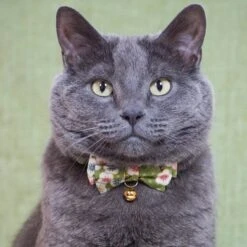 Necoichi Hanami Bow Tie Breakaway Cat Collar -Pawfect Care 335355 PT5. AC SS1800 V1644903433