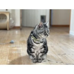 Necoichi Hanami Bow Tie Breakaway Cat Collar -Pawfect Care 335355 PT6. AC SS1800 V1644911837