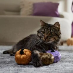 Frisco Halloween Bougie Pumpkins Plush Cat Toy With Catnip -Pawfect Care 344014 PT3. AC SS1800 V1657657029
