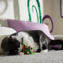 Frisco Haunted Burger Plush Cat Toy With Catnip -Pawfect Care 344056 PT3. AC SS1800 V1657657030