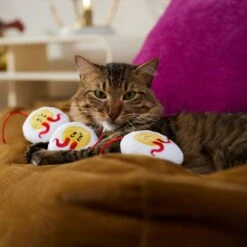 Frisco Halloween Haunted Deviled Eggs Plush Cat Toy With Catnip -Pawfect Care 344058 PT3. AC SS1800 V1657657030