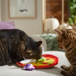 Frisco Halloween Spooky Pizza Interactive Plush Cat Toy With Catnip -Pawfect Care 344066 PT3. AC SS1800 V1657657031