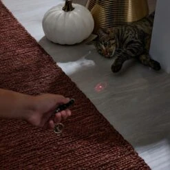 Frisco Halloween Skull Laser Cat Toy 10 Frisco Halloween Skull Laser Cat Toy -Pawfect Care 344068 PT3. AC SS1800 V1659279988