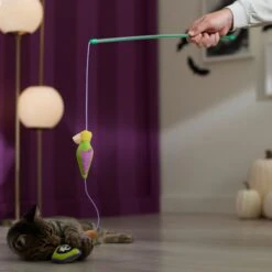 Frisco Halloween Potion Teaser Wand Cat Toy With Catnip -Pawfect Care 344076 PT3. AC SS1800 V1657657033