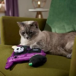 Frisco Halloween Magical Wardrobe Interactive Plush Cat Toy With Catnip -Pawfect Care 344078 PT3. AC SS1800 V1657657033