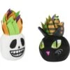 Frisco Halloween Succulents Plush Cat Toy With Catnip, 2 Count -Pawfect Care 344082 MAIN. AC SS1800 V1657657033