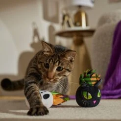 Frisco Halloween Succulents Plush Cat Toy With Catnip, 2 Count -Pawfect Care 344082 PT3. AC SS1800 V1657657035