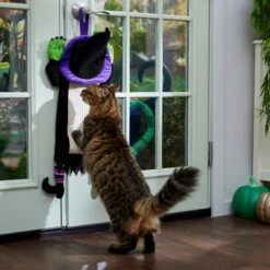 Frisco Halloween Witch Doorknob Hanger Cat Toy With Catnip -Pawfect Care 344092 PT3. AC SS1800 V1657657035