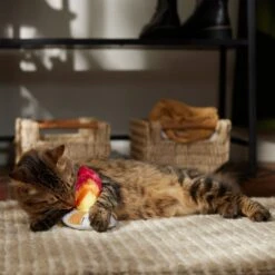Frisco Fall Campfire Plush Cat Toy With Catnip -Pawfect Care 344178 PT3. AC SS1800 V1659023182