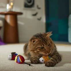 Disney Halloween Hocus Pocus Sanderson Sisters Plush Mice Cat Toy With Catnip -Pawfect Care 344497 PT3. AC SS1800 V1658457152