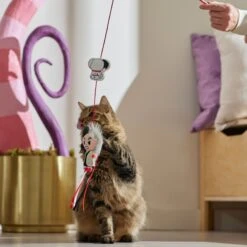 Disney Villains Cruella De Vil & Dalmatian Teaser Wand Cat Toy With Catnip -Pawfect Care 344517 PT3. AC SS1800 V1657657087