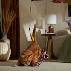 Disney Villains Evil Queen Interchangeable Teaser Wand Cat Toy With Catnip -Pawfect Care 344521 PT3. AC SS1800 V1657657087