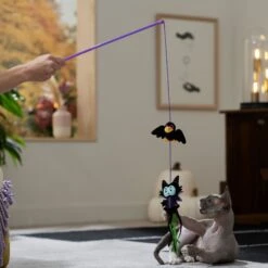 Disney Villains Maleficent & Raven Teaser Wand Cat Toy With Catnip -Pawfect Care 344525 PT3. AC SS1800 V1657657088