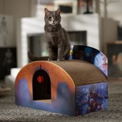 Pixar Coco Marigold Bridge Scratcher Cat Toy -Pawfect Care 344557 PT4. AC SS1800 V1689878930