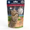 Team Treatz CatEatz Treatz MLB Yankees Chicken Flavor Tartar Control Dental Cat Treats -Pawfect Care 346048 MAIN. AC SS1800 V1638032201