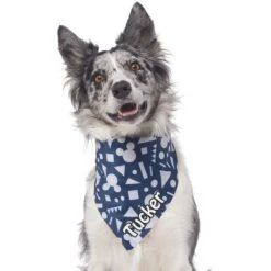 Disney Mickey Mouse Geo Art Personalized Dog & Cat Bandana -Pawfect Care 346370 PT3. AC SS1800 V1671228218
