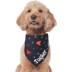 Disney "M-I-C-K-E-Y M-O-U-S-E" Personalized Dog & Cat Bandana -Pawfect Care 346374 PT3. AC SS1800 V1671228218