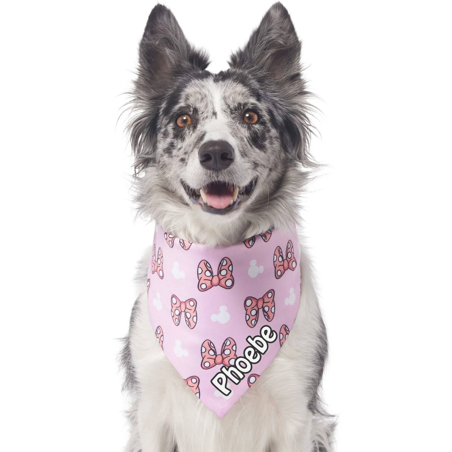 Disney Minnie Mouse Bows Personalized Dog & Cat Bandana 6 Disney Minnie Mouse Bows Personalized Dog & Cat Bandana - Image 4