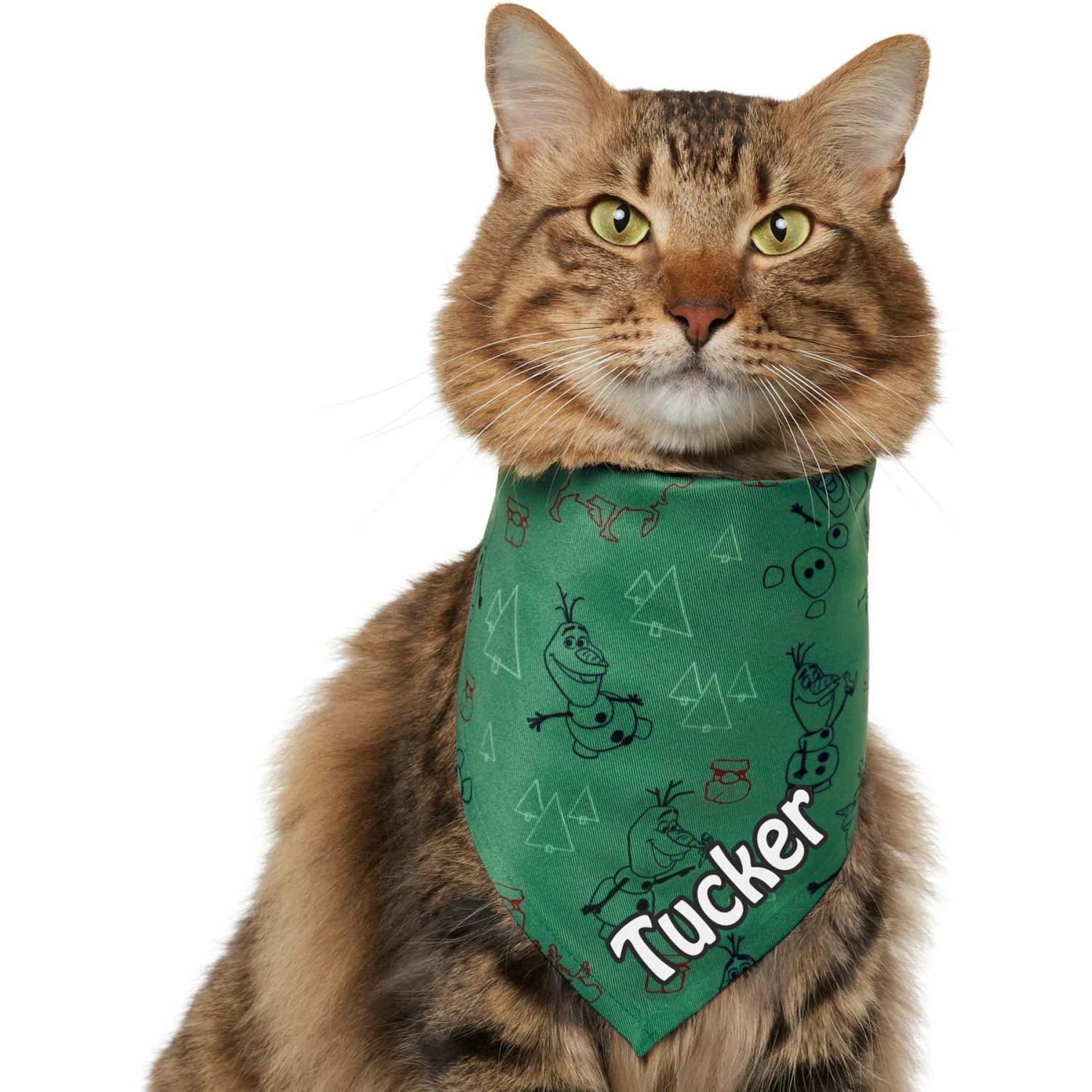 Disney Frozen's Olaf & Marshmallow Personalized Dog & Cat Bandana 5 Disney Frozen's Olaf & Marshmallow Personalized Dog & Cat Bandana - Image 3