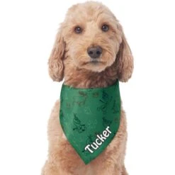 Disney Frozen's Olaf & Marshmallow Personalized Dog & Cat Bandana 13 Disney Frozen's Olaf & Marshmallow Personalized Dog & Cat Bandana -Pawfect Care 346382 PT3. AC SS1800 V1672179021