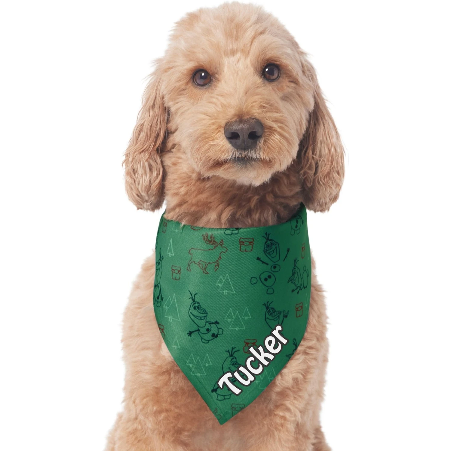 Disney Frozen's Olaf & Marshmallow Personalized Dog & Cat Bandana 6 Disney Frozen's Olaf & Marshmallow Personalized Dog & Cat Bandana - Image 4