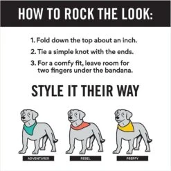 Disney Frozen's Olaf & Marshmallow Personalized Dog & Cat Bandana 17 Disney Frozen's Olaf & Marshmallow Personalized Dog & Cat Bandana -Pawfect Care 346382 PT7. AC SS1800 V1671228216