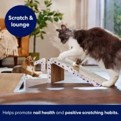 Frisco Nesting Cat Scratcher Toy With Catnip, Modern Terrazzo -Pawfect Care 347213 PT3. AC SS1800 V1659699272