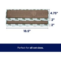 Frisco Single-Wide Cat Scratcher Toy With Catnip, Tropical Paradise, 2 Count -Pawfect Care 347217 PT1. AC SS1800 V1698868180