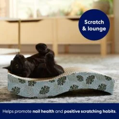 Frisco Wave Cat Scratcher Toy With Catnip, Tropical Paradise -Pawfect Care 347221 PT3. AC SS1800 V1659699263