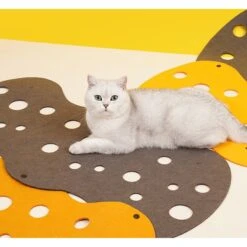 ZEZE "The Cheese" Adjustable Tunnel Cat Toy -Pawfect Care 347443 PT5. AC SS1800 V1657657091