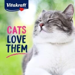 Vitakraft Meaty Morsels Chicken With Salmon Recipe Soft Cat Treats, 1.4-oz Pouch, Pack Of 4 -Pawfect Care 347890 PT5. AC SS1800 V1666652289