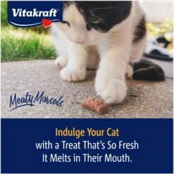 Vitakraft Meaty Morsels Chicken With Salmon Recipe Soft Cat Treats, 1.4-oz Pouch, Pack Of 4 -Pawfect Care 347890 PT7. AC SS1800 V1666650757