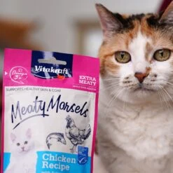 Vitakraft Meaty Morsels Chicken With Salmon Recipe Soft Cat Treats, 1.4-oz Pouch, Pack Of 4 -Pawfect Care 347890 PT8. AC SS1800 V1666650212