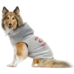Littlearth NFL Dog & Cat Hooded Crewneck Sweater -Pawfect Care 351245 PT3. AC SS1800 V1640816799