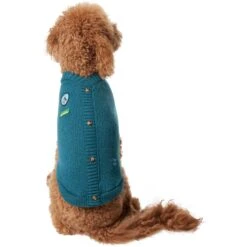 Frisco Teal Button Down Dog & Cat Sweater -Pawfect Care 353580 PT2. AC SS1800 V1659006937