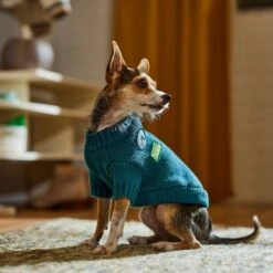 Frisco Teal Button Down Dog & Cat Sweater -Pawfect Care 353580 PT7. AC SS1800 V1660749932