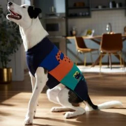 Frisco Anaconda Cheetah Colorblock Dog & Cat Sweater -Pawfect Care 353596 PT7. AC SS1800 V1660749560