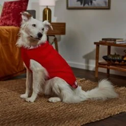 Frisco Plaid Cable Knit Dog & Cat Sweater -Pawfect Care 353611 PT7. AC SS1800 V1660749926