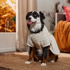 Frisco Tweed Weave Ruffle Skirt Dog & Cat Dress -Pawfect Care 353649 PT6. AC SS1800 V1660750168