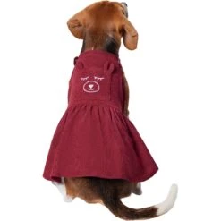Frisco Sleepy Face Dog & Cat Dress -Pawfect Care 353657 PT2. AC SS1800 V1659008189